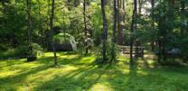 Bumble Bee RV Park and Campground — photo 3